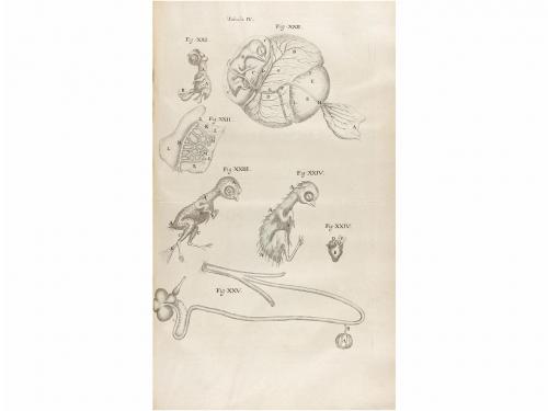 1686. LIBRO. (CIENCIAS). MALPIGHII, MARCELLI:. OPERUM [ANATO