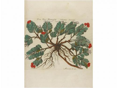 1763. LIBRO. (BOTANICA). QUER, JOSEPH:. DISSERTACION PHYSICO