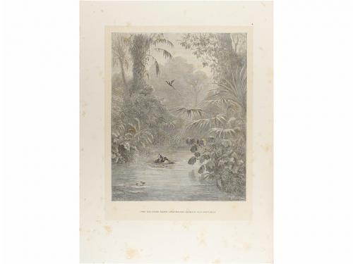 1876. LIBRO. (BIBLIOFILIA-LITERATURA). CHATEAUBRIAND:. ATALA