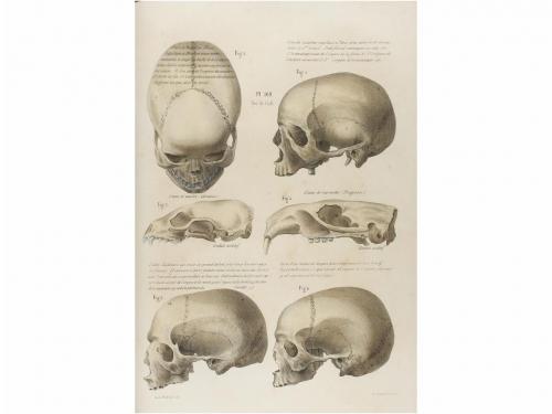 1845. LIBRO. (CIENCIAS). OTTIN, M. J.:. SISTEMA DE LAVATER S