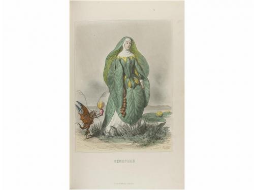 1845 ca. LIBRO. (BIBLIOFILIA-ILUSTR.). DELORD, TAXILE:. LES 