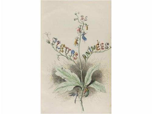 1845 ca. LIBRO. (BIBLIOFILIA-ILUSTR.). DELORD, TAXILE:. LES 