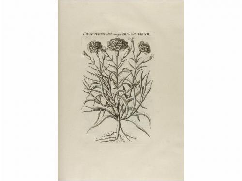 1762-1784. LIBRO. (CIENCIAS-FLORA). QUER, JOSEPH:. FLORA ESP