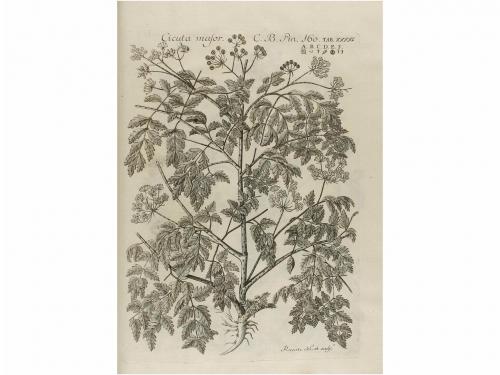 1762-1784. LIBRO. (CIENCIAS-FLORA). QUER, JOSEPH:. FLORA ESP