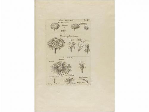 1762-1784. LIBRO. (CIENCIAS-FLORA). QUER, JOSEPH:. FLORA ESP