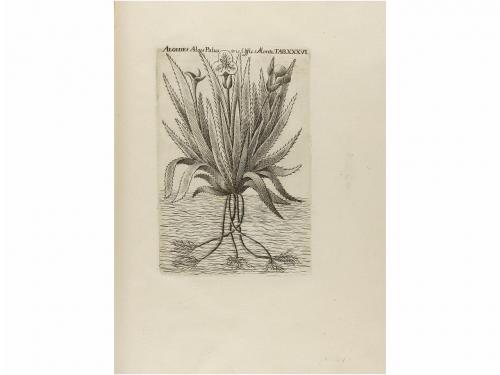 1762-1784. LIBRO. (CIENCIAS-FLORA). QUER, JOSEPH:. FLORA ESP