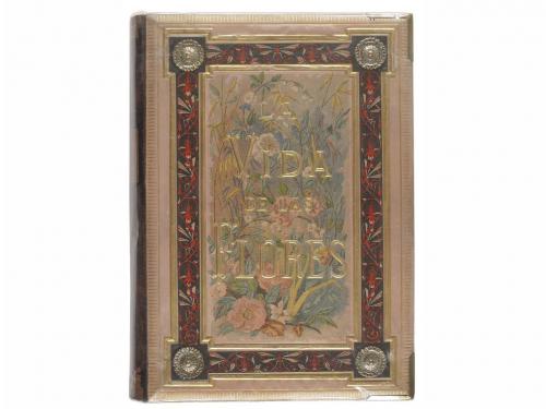 1878. LIBRO. (BIBLIOFILIA-ILUSTR.). KARR, ALFONSO; DELORD, T