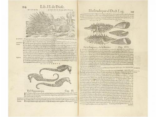 1566. LIBRO. (MEDICINA). DIOSCORIDES ANAZARBEO, PEDACIO:. AC