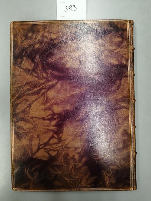 1628. LIBRO. (HISTORIA-NAVARRA). GONGORA Y TORREBLANCA, GARC