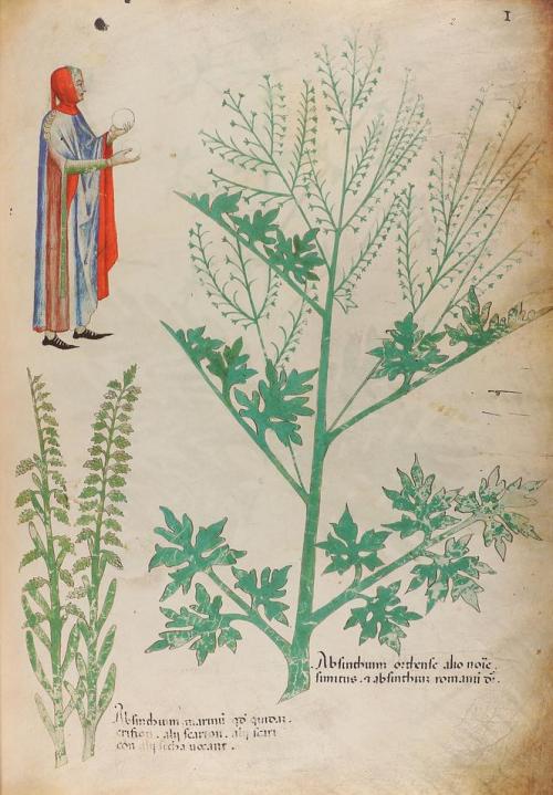 2011. LIBRO. (FACSÍMIL). TRACTATUS DE HERBIS. Barcelona: Ed.