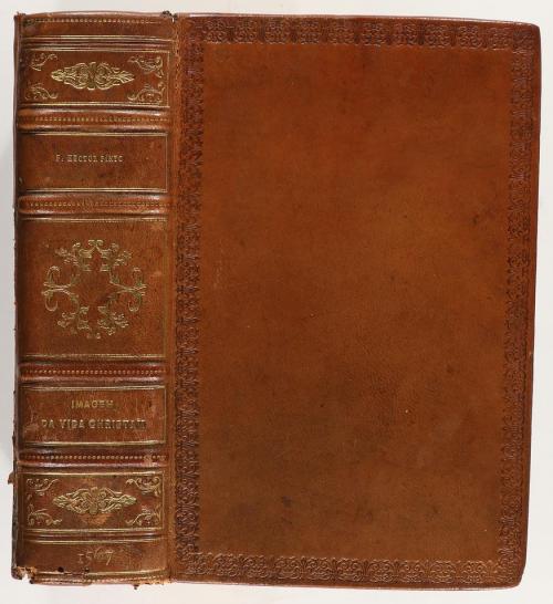 1569. LIBRO. (HUMANIDADES). PINTO, HECTOR:. IMAGEM DA VIDA C