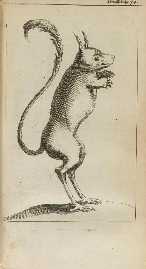 1714 - 1724. LIBRO. (VIAJES). LUCAS, PAUL:. VOYAGE DU SIEUR 