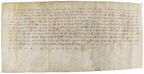 1359. MANUSCRITO. (CUENCA). PERGAMINO MANUSCRITO SOBRE EL TE