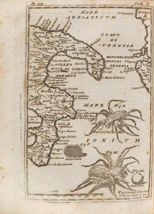 1732. LIBRO. (MEDICINA). BAGLIVI, GEORGII:. OPERA OMNIA MEDI