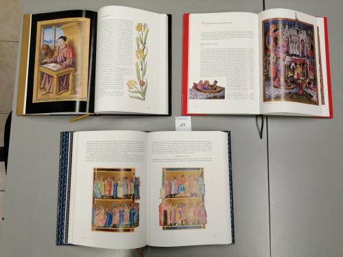 2005-2011. LIBRO. (FACSÍMIL-LIBROS DE ESTUDIO). 3 LIBROS DE 