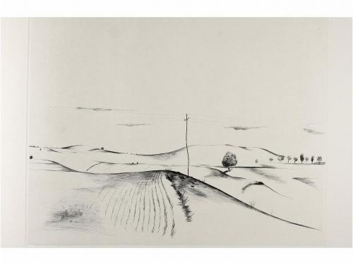 1960. LIBRO. (BIBLIOFILIA). DELIBES, MIGUEL; PLA, JAUME (ilu