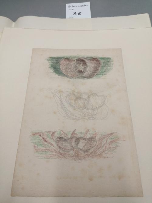 1924. LIBRO. (BIBLIOFILIA). RIBA, CARLES:. L'INGENU AMOR. Ba