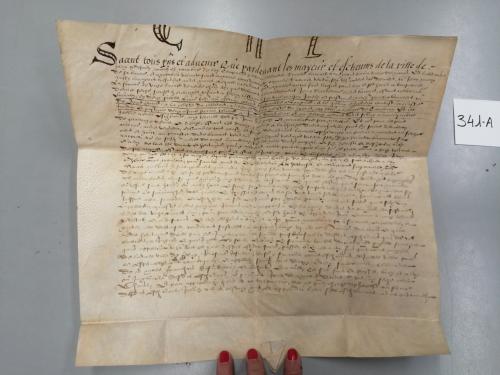 s. XVII. MANUSCRITO. MANUSCRITO SOBRE PERGAMINO REDACTADO EN