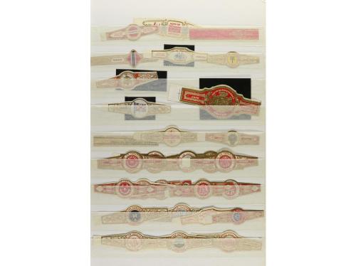 1900-1930 ca. COLECCIONISMO. (VITOFILIA). DOS ÁLBUMES CON VI