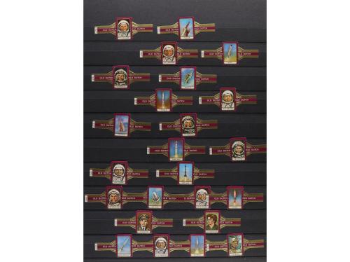 1910-1930 ca. COLECCIONISMO. (VITOFILIA). DOS ÁLBUMES CON VI