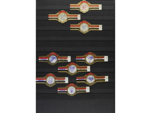 1910-1930 ca. COLECCIONISMO. (VITOFILIA). DOS ÁLBUMES CON VI