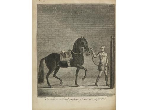 1754. LIBRO. (EQUITACIÓN). BOURGELAT; BERENGER, RICHARD [tra