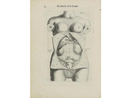 1681. LIBRO. (MEDICINA). MAURICEAU, FRANÇOIS:. TRAITE DES MA