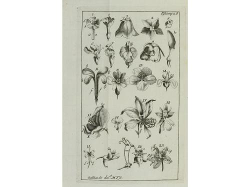 1767. LIBRO. (CIENCIAS- BOTÁNICA). BARNADES, MIGUÈL:. PRINCI