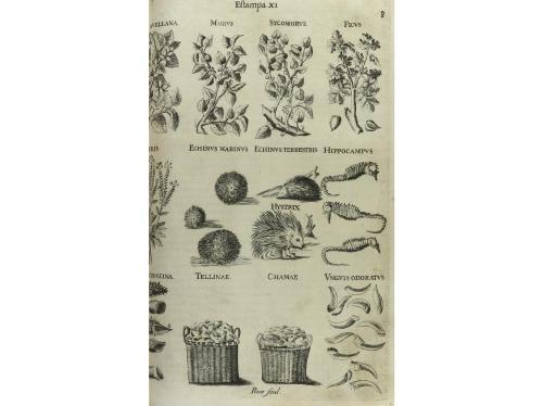 1733. LIBRO. (CIENCIAS-MEDICINA). SUAREZ DE RIBERA, FRANCISC