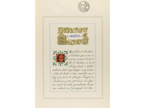 1848. LIBRO. (EJECUTORIA-ISABEL II). DESPACHO DE ARMAS DE CA