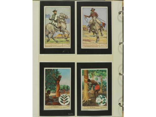 1940 ca. CROMOS. 36 CROMOS LITOGRÁFICOS CON TEXTO EN NEERLAN