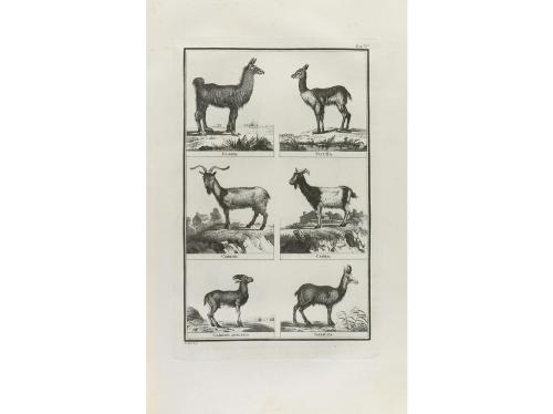 1806. LIBRO. (HUMANIDADES). ARFE Y VILLAFAÑE, JUAN DE:. VARI