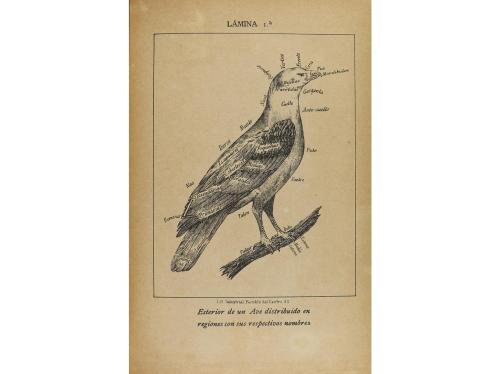 1884. LIBRO. (NATURALEZA- ORNITOLOGÍA). GOU Y MOLINAS, JOSÉ: