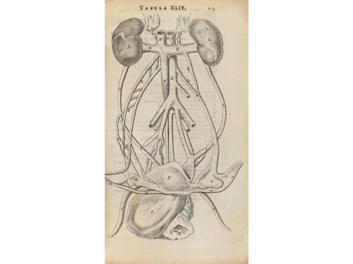 1686. LIBRO. (MEDICINA ANATÓMICA). BARTHOLIN, THOMAS:. ANATO