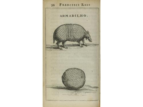 1675. LIBRO. (CIENCIAS-NATURALEZA). REDI, FRANCISCI:. EXPERI