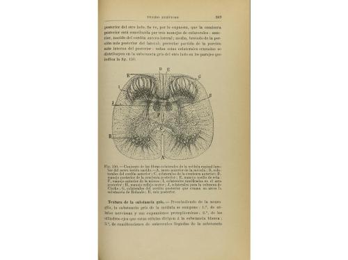 1897. LIBRO. (CIENCIAS). CAJAL, RAMÓN:. ELEMENTOS DE HISTOLO