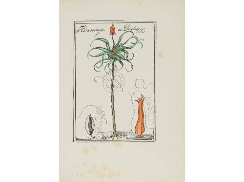 1934. LIBRO. (BIBLIOFILIA). VALLE, ADRIANO DEL:. PRIMAVERA P