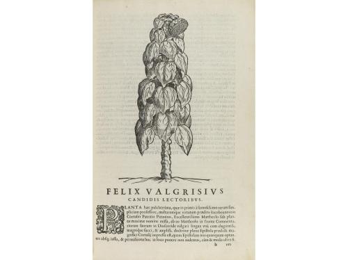 1583. LIBRO. (MEDICINA-FARMACIA). MATTHIOLI, PETRI ANDREAE:.