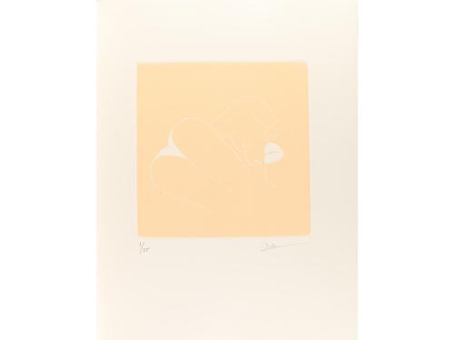 1982. LIBRO. (BIBLIOFILIA). PEDROLO, MANUEL DE:. ANNA. Prólo