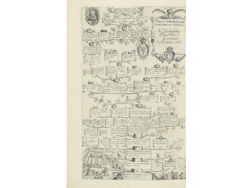 1612. LIBRO. (GENEALOGÍA-HERÁLDICA). ALBIZIO, ANTONIO:. PRIN