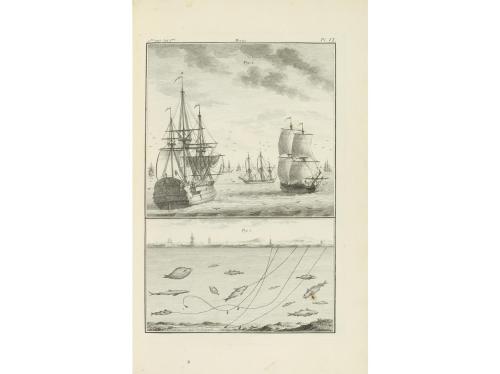 1772-1782. LIBRO. (CIENCIAS- ICTIOLOGÍA). DUHAMEL DU MONCEAU