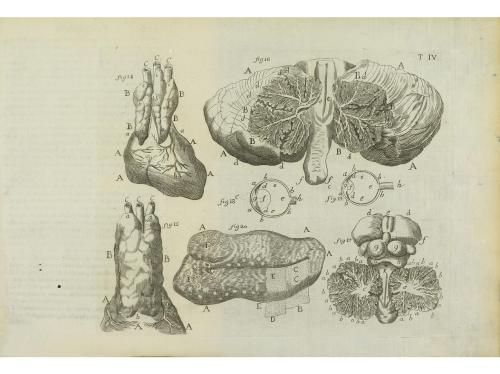 1755. LIBRO. (MEDICINA). HEISTER, LAURENCIO:. COMPENDIO ANAT