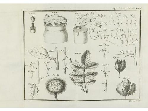 1772. LIBRO. (AGRICULTURA). DUHAMEL DU MONCEAU:. PHYSICA DE 