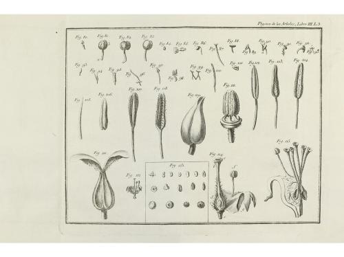 1772. LIBRO. (AGRICULTURA). DUHAMEL DU MONCEAU:. PHYSICA DE 