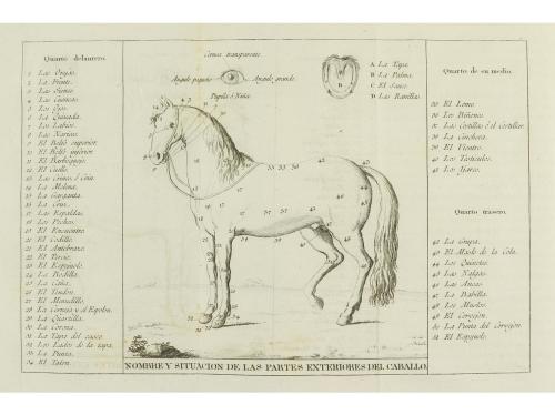 1805. LIBRO. (EQUITACIÓN). LAIGLESIA Y DARRAC, FRANCISCO DE: