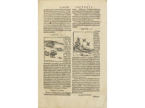 1536. LIBRO. (CIENCIAS). [JOHANN WONNECKE VON CAUB (JOANNES 