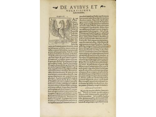 1536. LIBRO. (CIENCIAS). [JOHANN WONNECKE VON CAUB (JOANNES 