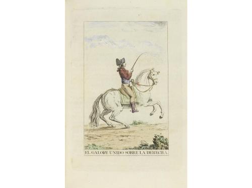 1819. LIBRO. (MILITARIA-EQUITACIÓN). LAIGLESIA Y DARRAC, FRA