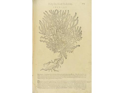 1604. LIBRO. (MEDICINA). MATTHIOLI, M. PIETRO ANDREA:. DE I 