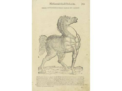 1604. LIBRO. (MEDICINA). MATTHIOLI, M. PIETRO ANDREA:. DE I 